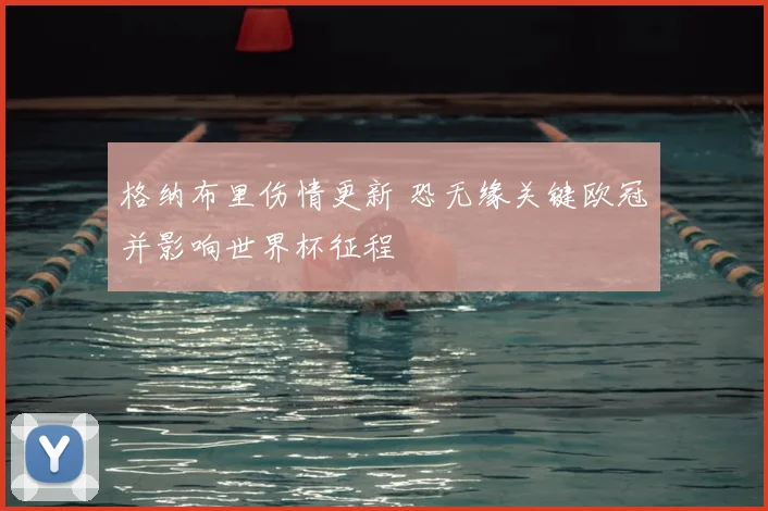 格纳布里伤情更新 恐无缘关键欧冠并影响世界杯征程